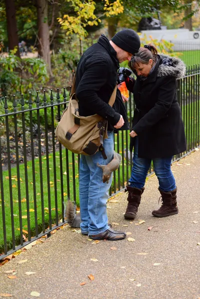 DSC_0613 (Large).JPG